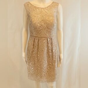 Jenny Yoo Champagne and Silver Lurex Lace Dress - Size 4 EUC